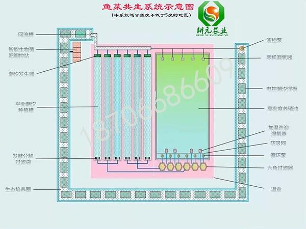 耕元魚菜共生系統(tǒng)設(shè)計(jì)圖